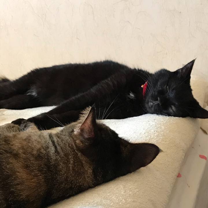 B11db1c3 cd4c 4380 8526 870795315a3d 1568519555870