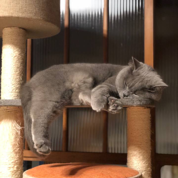 B11de302 ecf0 4908 bfd0 b8afcc880594 1611322652164