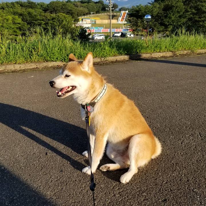 B11dec63 5b10 4563 b0d2 0cfbcd33aa7a 1596271248468