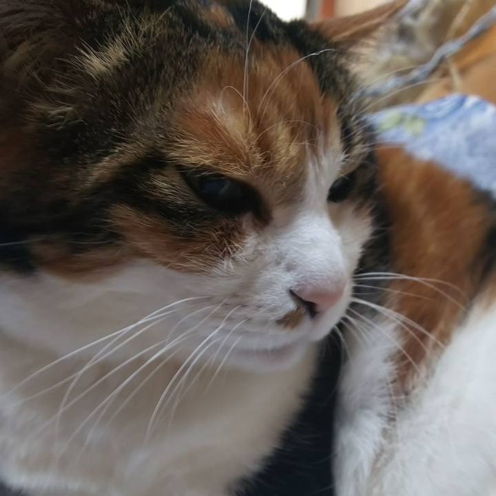 B11e2000 b168 4b8d b91b 0eea4848a404 1579232055488