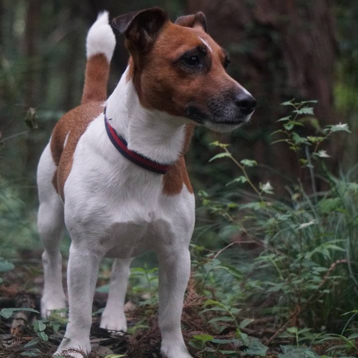 B11e6c6c bf7d 437a a134 4823f3178b9d 1529276190253