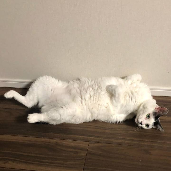 B11e7ec3 0360 4f27 a00d b9309bb4fa36 1598189392542