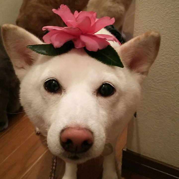 B11e84ba 1f95 467d 86a2 95f0a68ce4c4 1542964752048