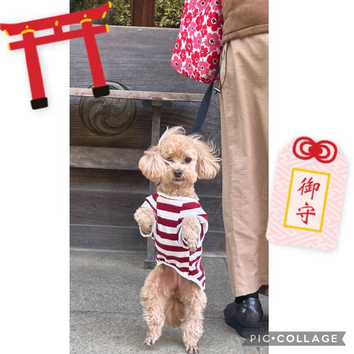 B11e91c3 1078 404c 8c35 7eb34d015176 1710677221982