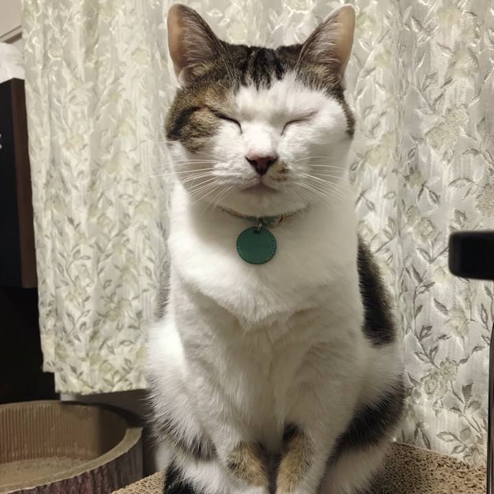 B11f013e 2e38 4a74 8ada 001348daedcd 1573528029627