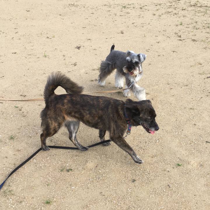 B11f0845 f619 465c 84f6 deb66a565d44 1533093593743