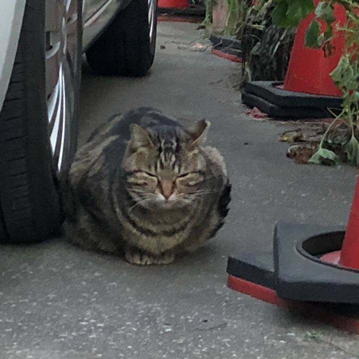 B11f29e6 04e6 458c bc12 f9c84f69ea99 1517911254411