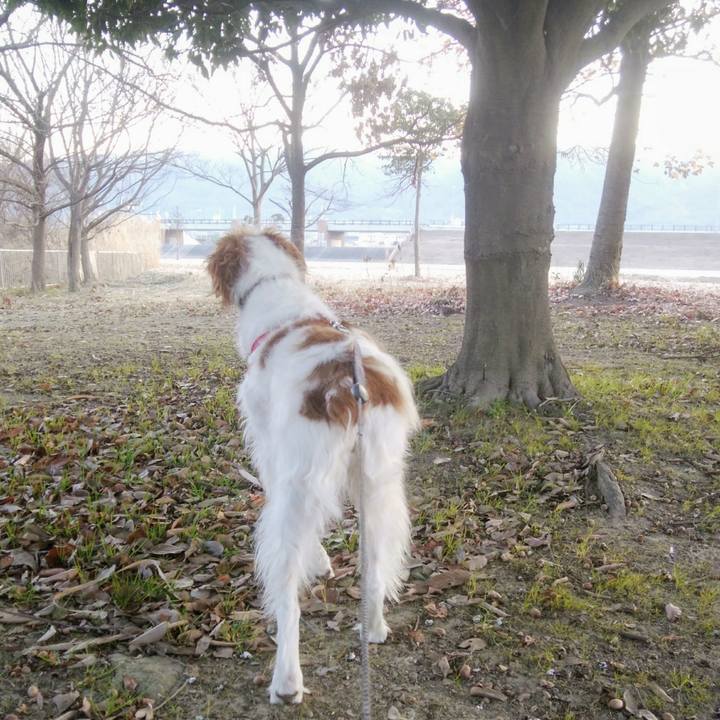 B11f3750 a471 4e7c 92a9 92351d3e0829 1548806552603