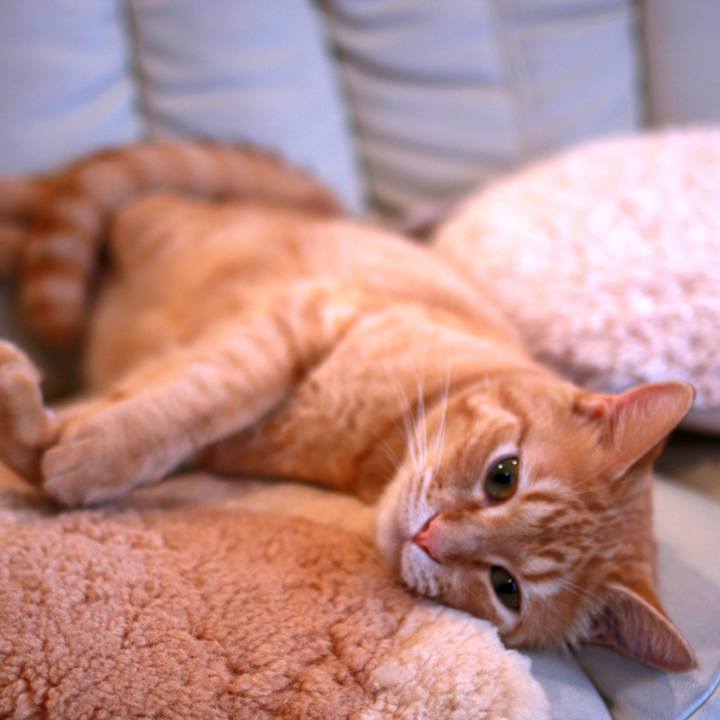 B11f37f9 ae5f 4393 91b1 3c9d2ab578a1 1718371534238