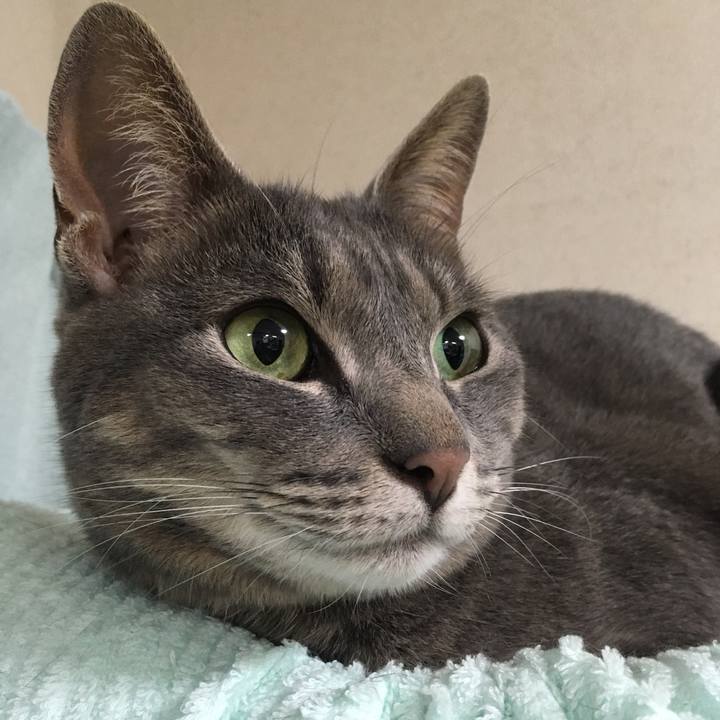 B11f3b47 0e55 4b1a 8410 9a35f16dffa8 1591958148923