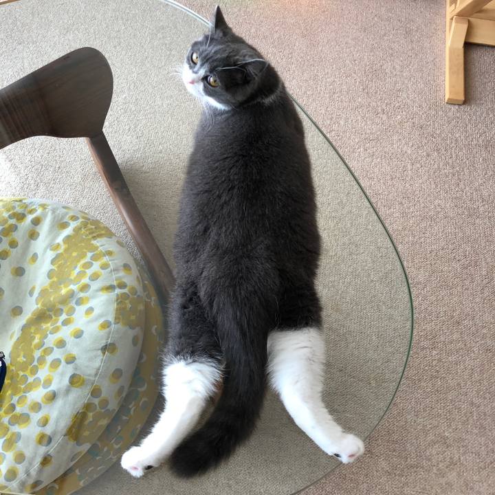 B11f8828 66a1 4baa aed4 22f749749b51 1533952515019