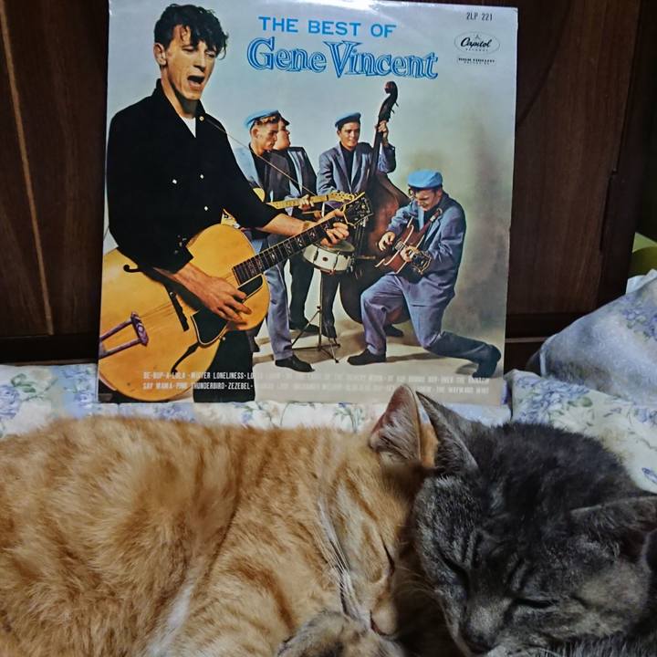 B11f9fe6 e636 4cf8 9f7b 57d62faa86c6 1587905402509