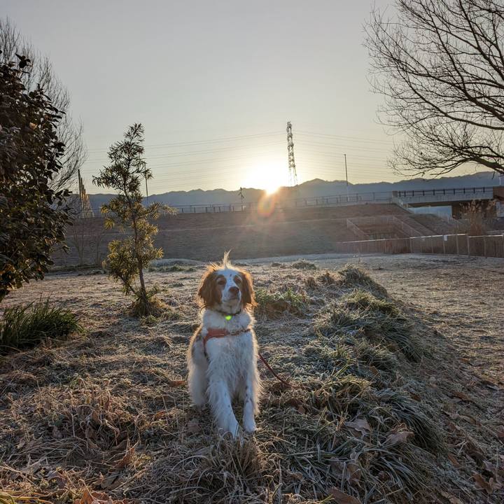 B11fde05 15d1 4550 83d0 7aa72b5fa99b 1676595583367