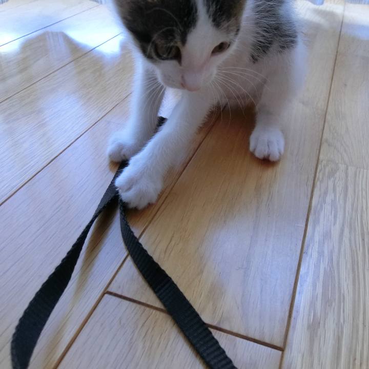 B11fdeba e937 46ed 943a c80b3a8bfe63 1561693607143