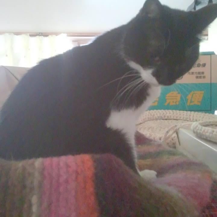 B1204836 4dbb 47b4 9044 bb9fa32b6af7 1537868230934