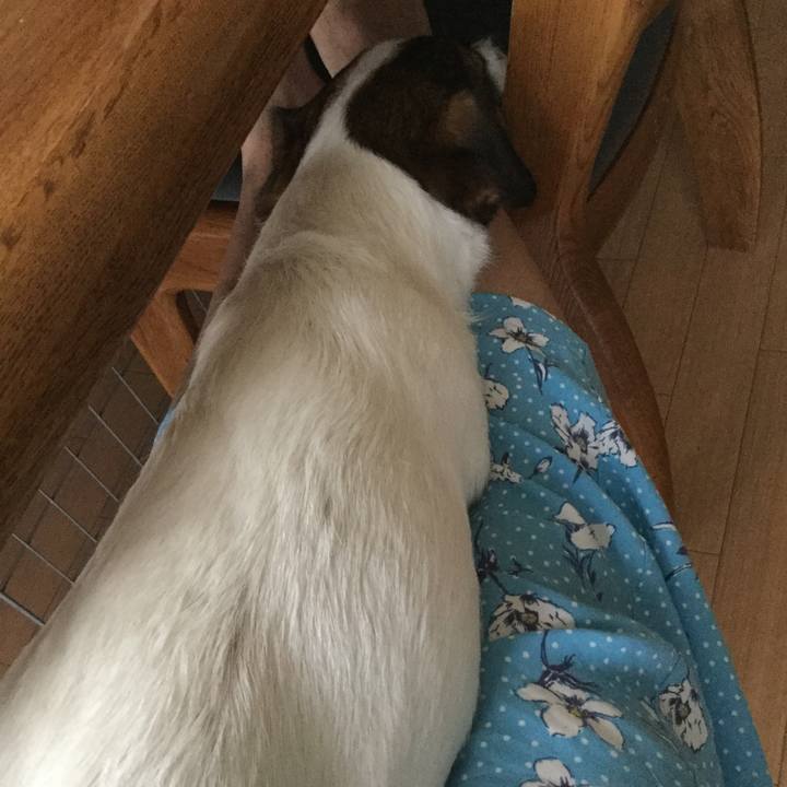 B1205bde b6c8 4a3e bf46 d7892148e3b2 1533954864245