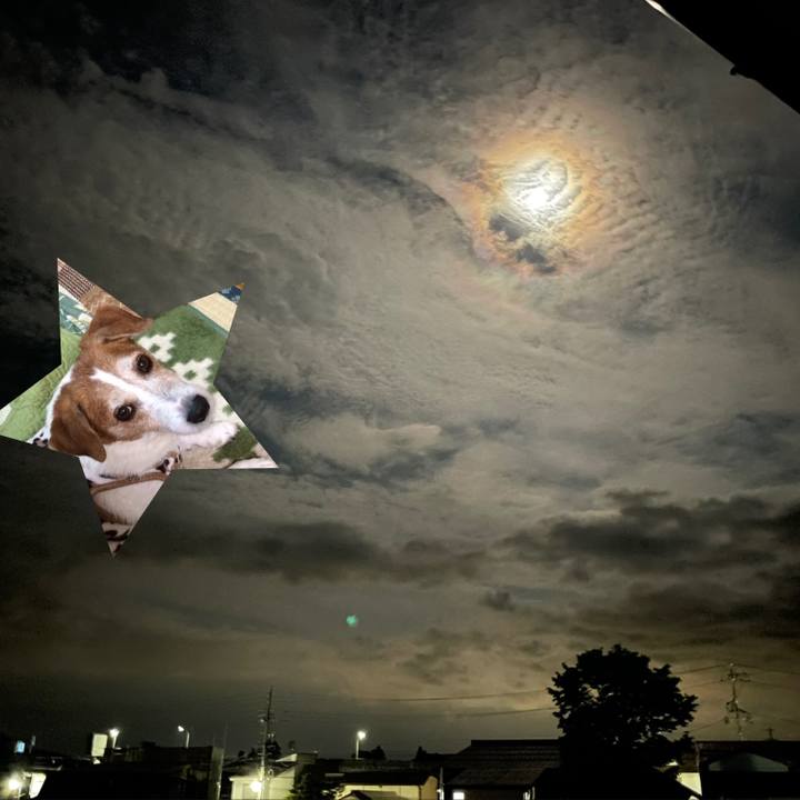 B12084cc b558 4fd5 8f17 07a98319fbbe 1624279315004