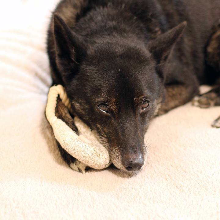 B12095d1 ea1f 43eb ab2c 4ba77a9ea8a8 1638963775259