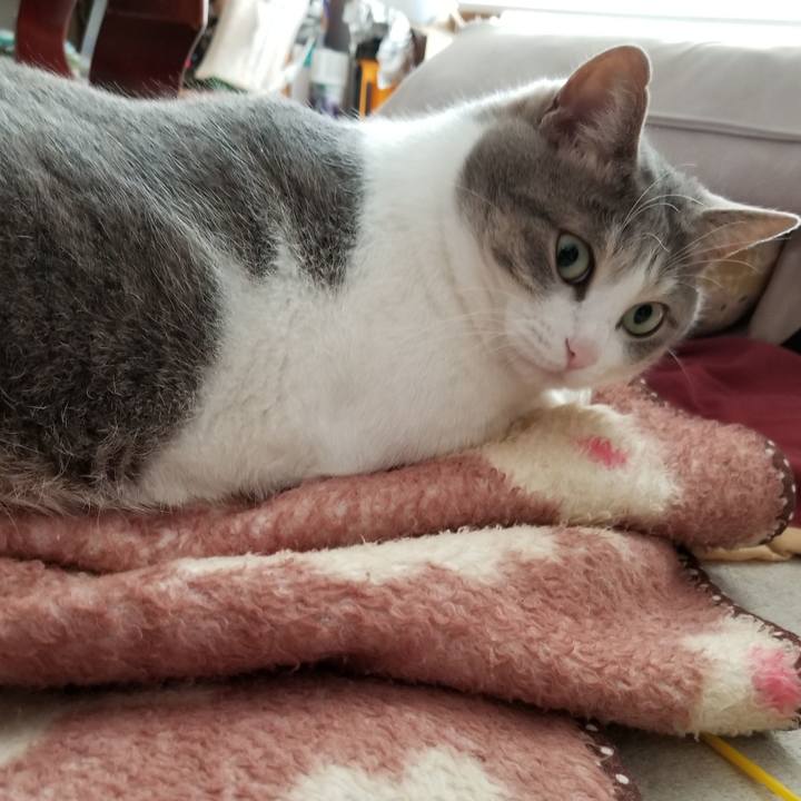 B120ce9d 0f9e 4d06 84fc 283a46fb7917 1537451391042