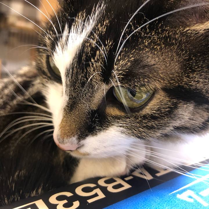 B120e6a3 1a45 44e9 91dd b82fd0242bd4 1587778656296