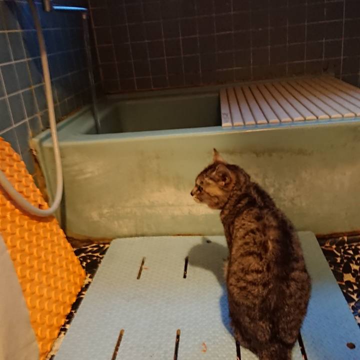 B120f848 71e2 4529 80ce 34bb3a2077e2 1591956588831