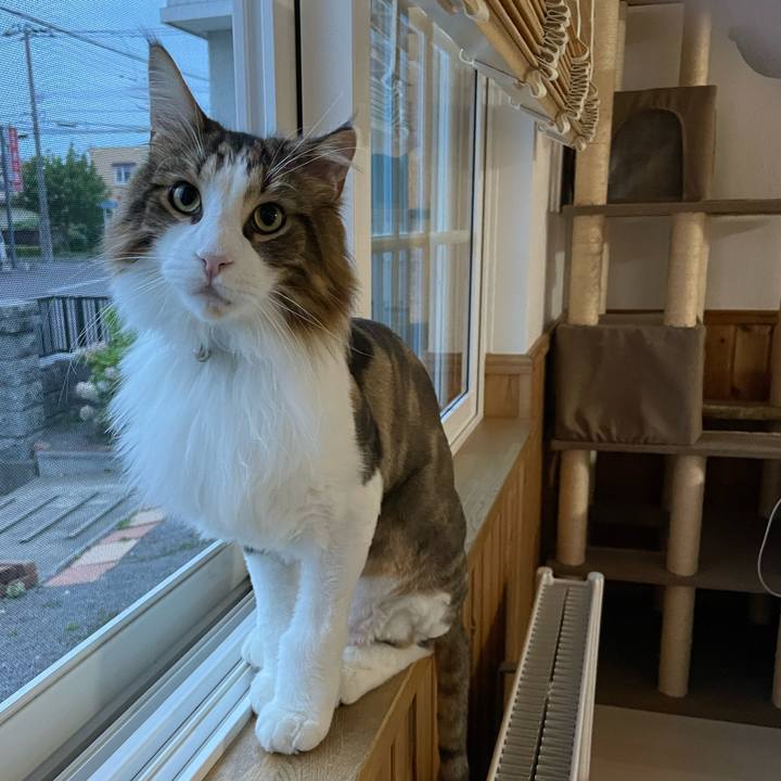 B1210813 9f78 46fb 9239 c337115246a9 1659643337870