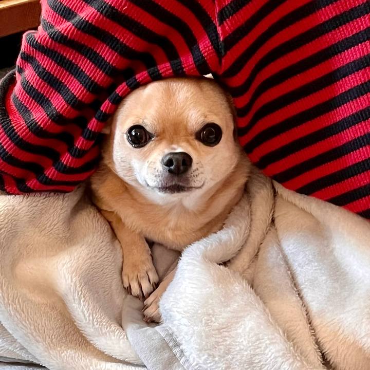 B1211614 358c 4b04 b4d6 592584fb2a87 1637278435211