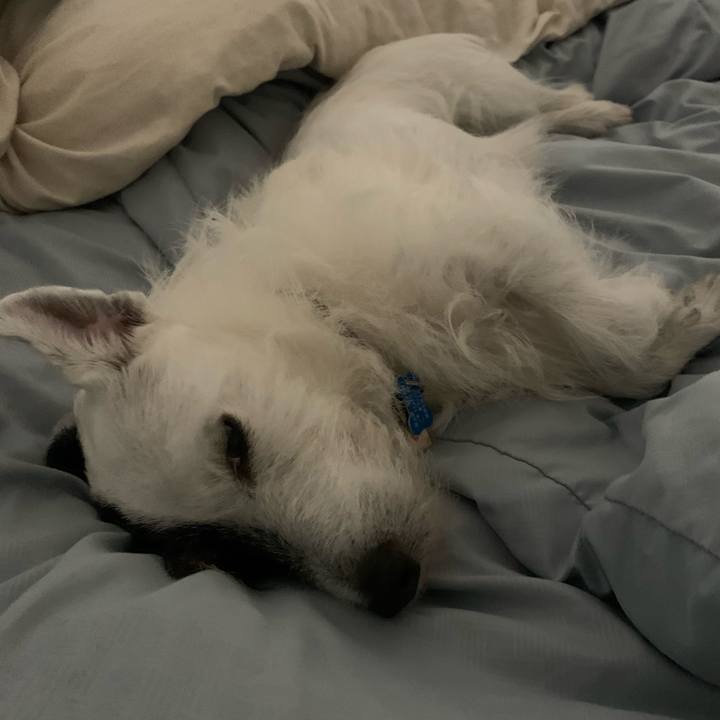 B1218e53 688e 4c53 83b7 c0cb16799256 1626270230074