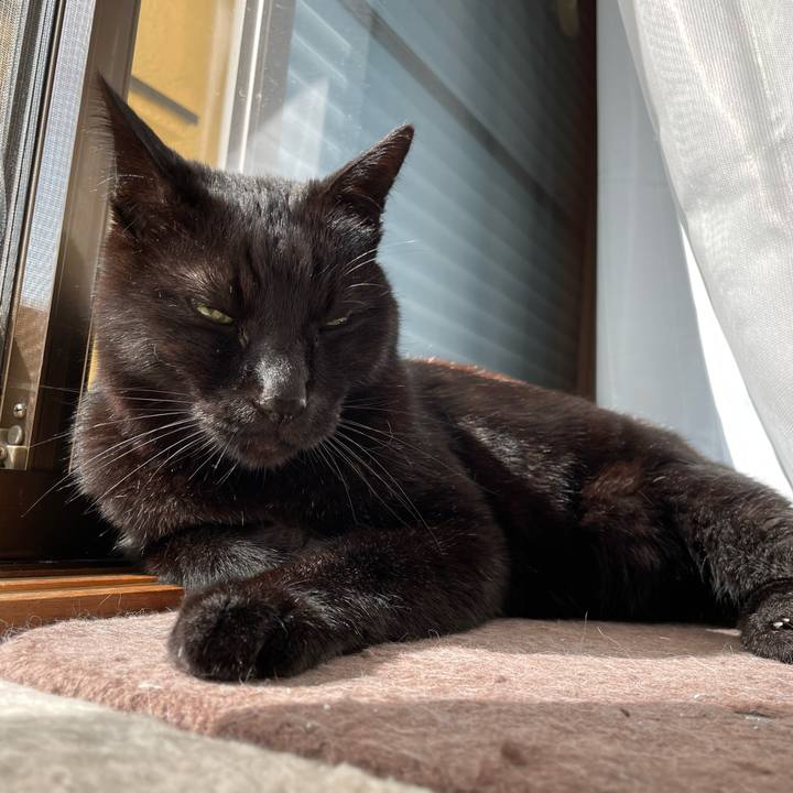 B12191a4 8676 4370 ae69 d03de9aa1091 1650247281937