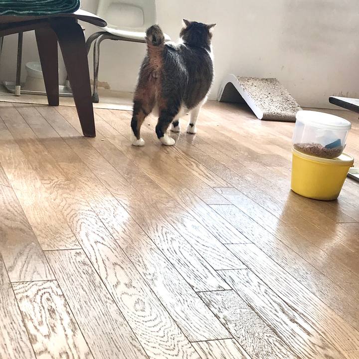 B121a7fb 4909 4d33 9037 2f8798ee03e6 1616990683226