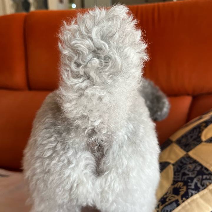 B121a979 6dbf 422f 8fe8 e1159b67b14b 1773445710541