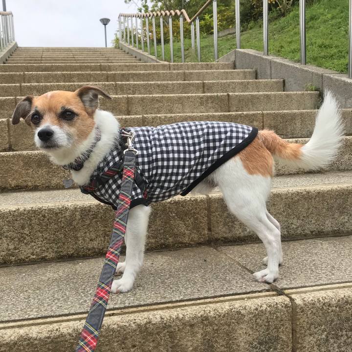 B121b54b 3131 40cb 8ebc 34956b5aca20 1525746163161