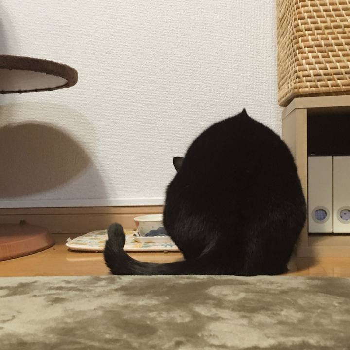 B121b8f7 3b17 438e 81cd 9a3623e0f2ed 1766140274239