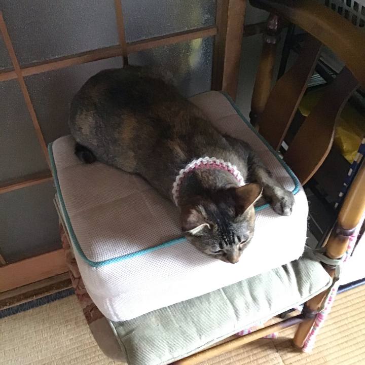 B121cbca 31b4 4835 87dc 7adafc4749f8 1651040847254