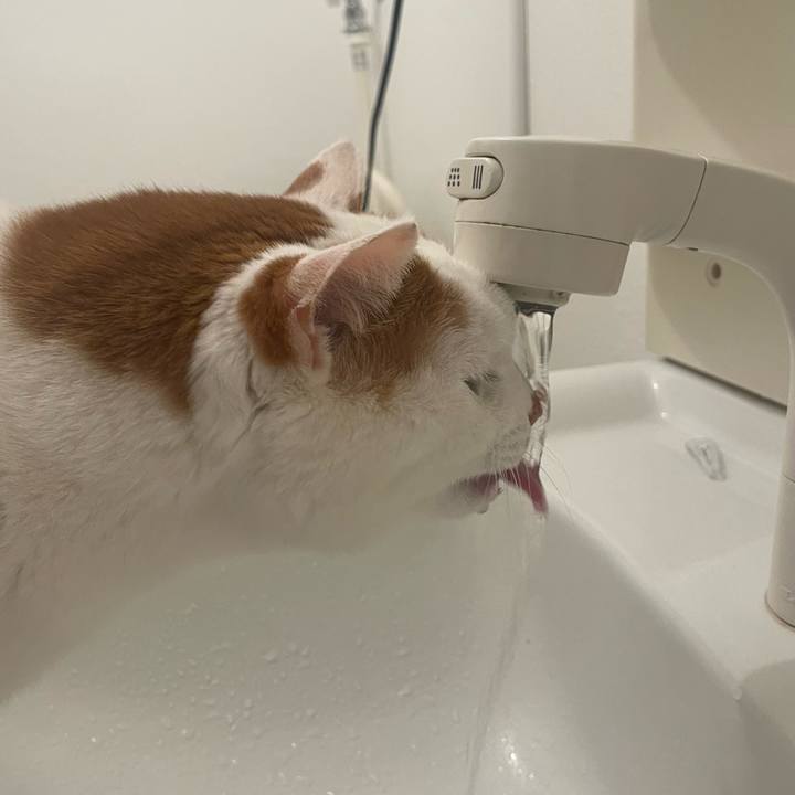 B1220e38 6d63 4175 a1a5 eb8f2e9707d4 1735772830191