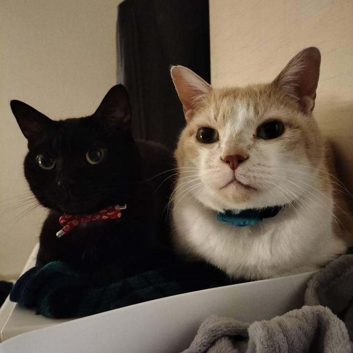 B122118c 43a7 4225 86f8 69bc324046c6 1641468041226