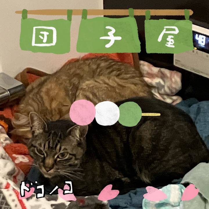 B1223648 25ab 4036 9a96 ea3d9a15dadd 1712394282985