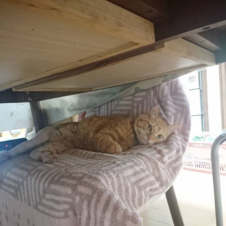 B12238c1 d587 4fbe bbe0 56b6e7312ee5 1654502616126