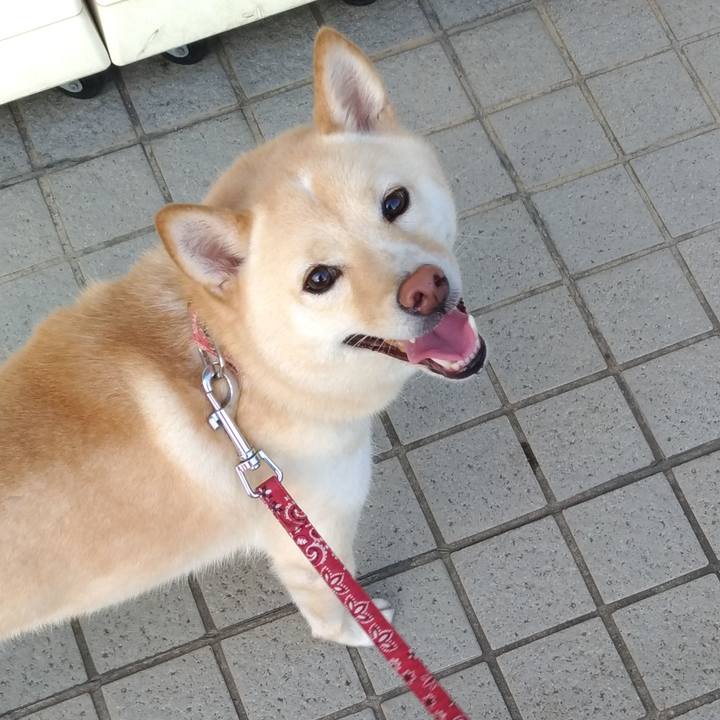 B1224070 f9a3 4684 a8c4 74f85cf33be0 1566720926044