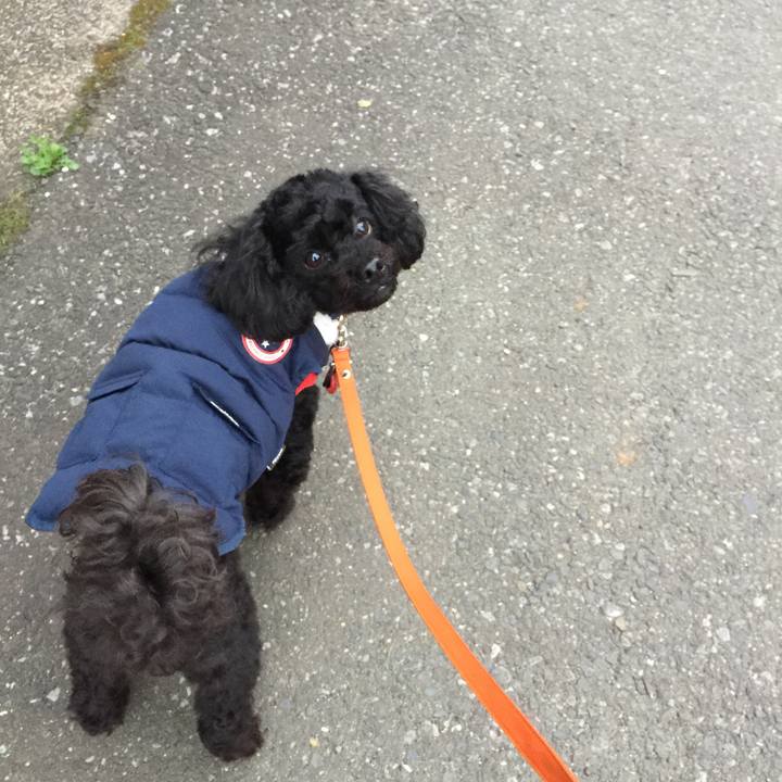 B12241ed 74d4 4abf 8bba 94069cb2e5aa 1520201619963