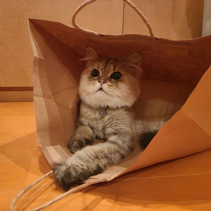 B1226423 0c94 42c9 b214 b7dc04d5ad6a 1626166414510