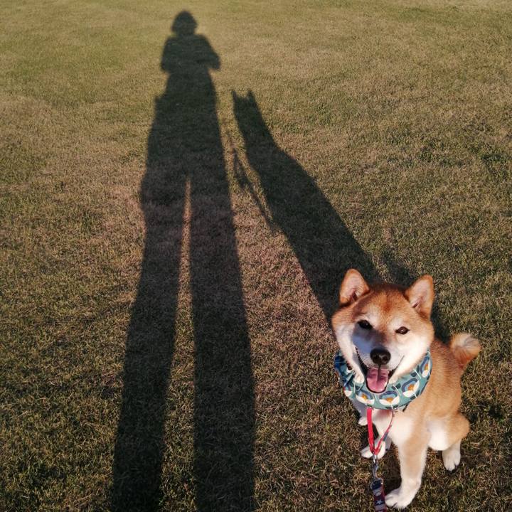 B122672f 868c 40dd b66b 6d18c93cb33f 1689514368531