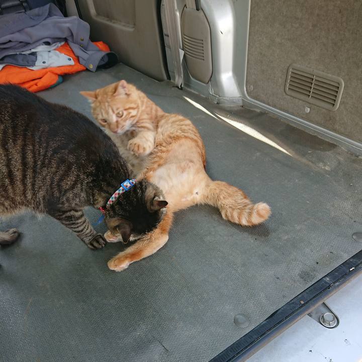 B122723f 55eb 4926 ad04 31684187c058 1657435493327