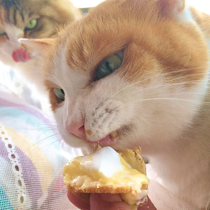 B122bef8 9508 4650 be1e 01700c7fba5f 1610606435253