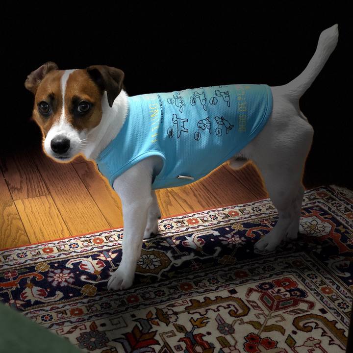 B122c0ce 5f03 4ae3 9213 e2dce3663048 1566285642237