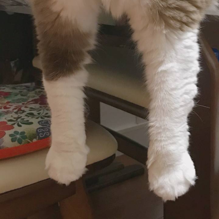 B122c15b 8b3c 459b 84dc 9a6204d035c0 1508231115957