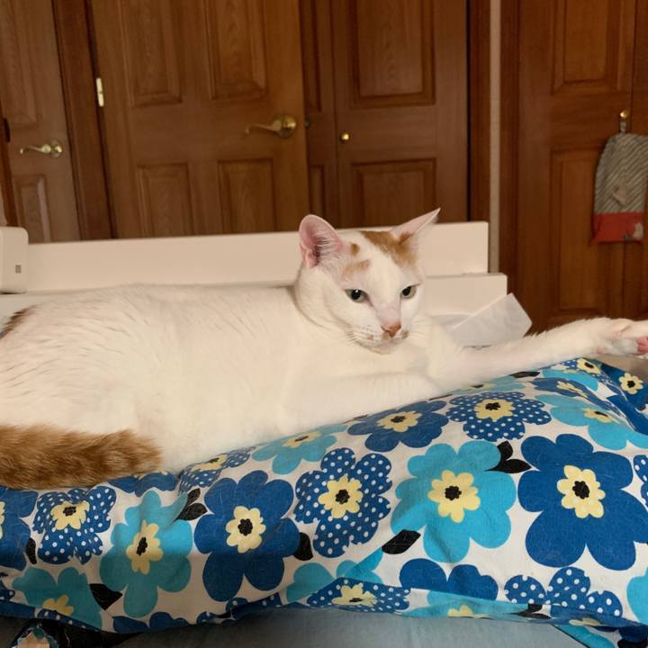 B122cfb6 bf8f 4525 928b e751eea293d5 1668889091363