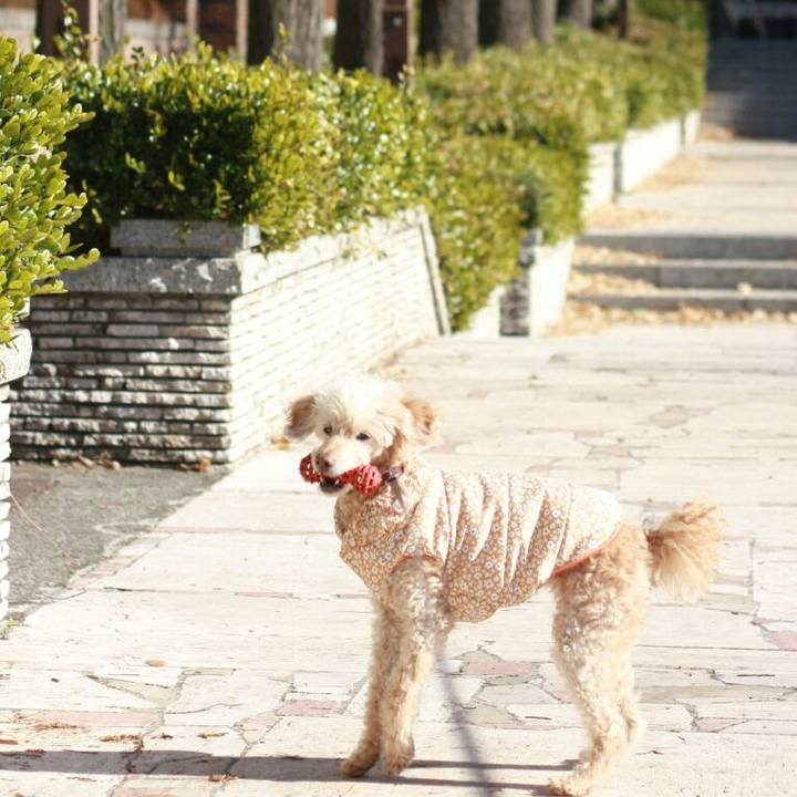 B122e6ba f5bb 4946 8dd1 441fec6fe6d3 1609573363112