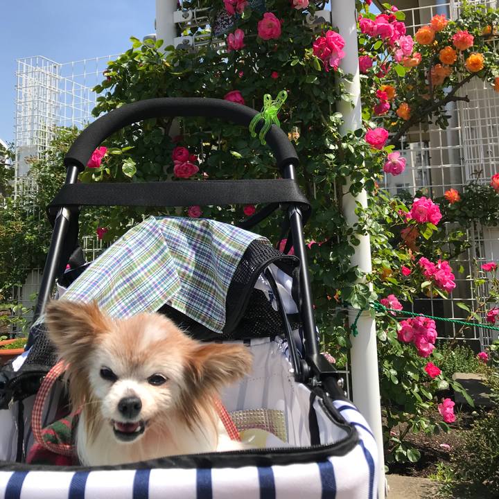 B1230239 a3cc 490c b810 a5b69f16eee6 1526023043845