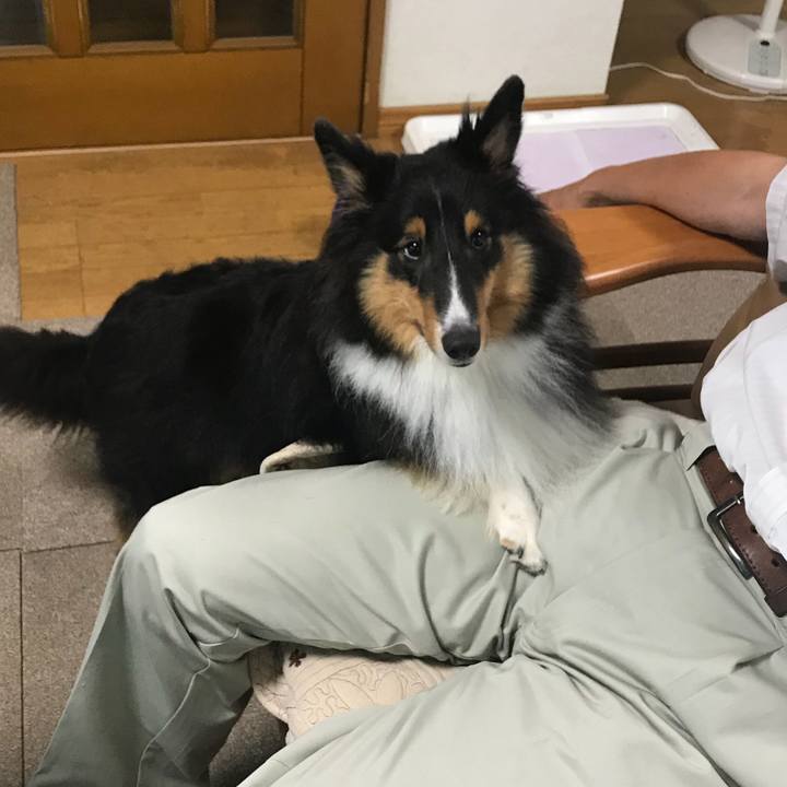 B123206c 6390 4261 8477 d3a0e38b0744 1536270338155